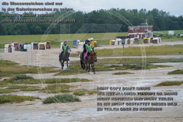 s_K3F04907.JPG